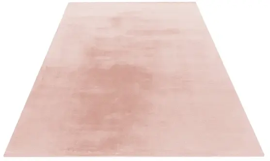 Royal Dywany product image