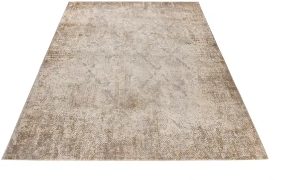 Royal Dywany product image