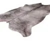 Royal Dywany product image