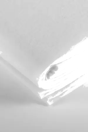 Royal Dywany product image