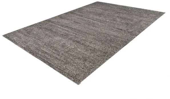 Royal Dywany product image