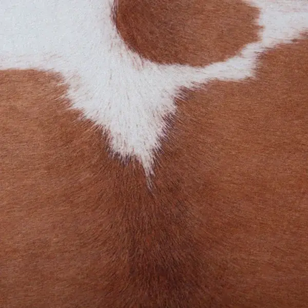 Royal Dywany product image