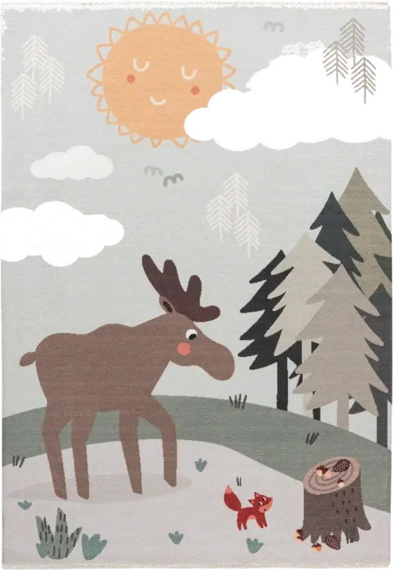 Royal Dywany product image