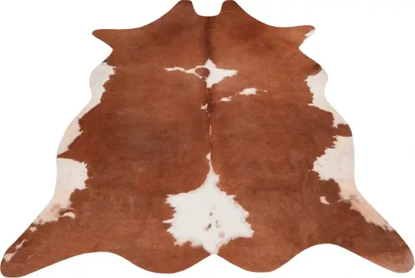 Royal Dywany product image