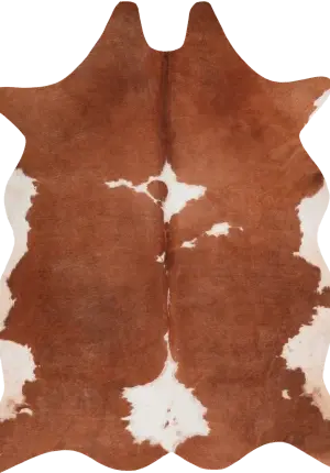Royal Dywany product image