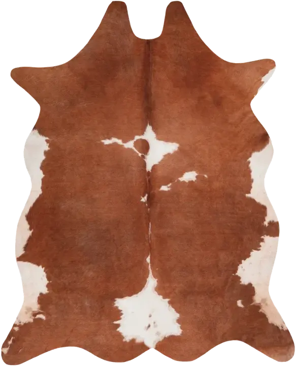 Royal Dywany product image