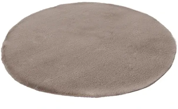 Royal Dywany product image