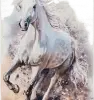 Royal Dywany product image