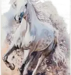 Royal Dywany product image